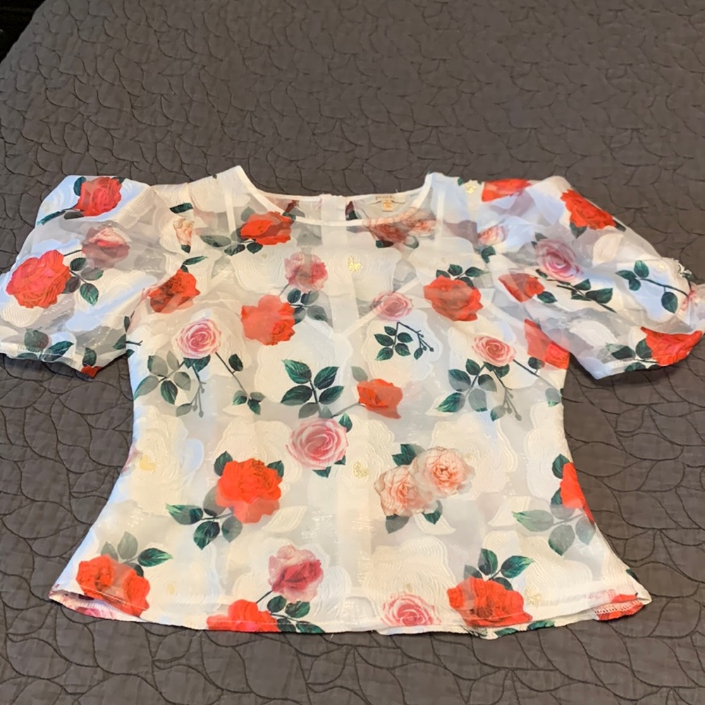 Small puff sleeve see thru blouse with lining.